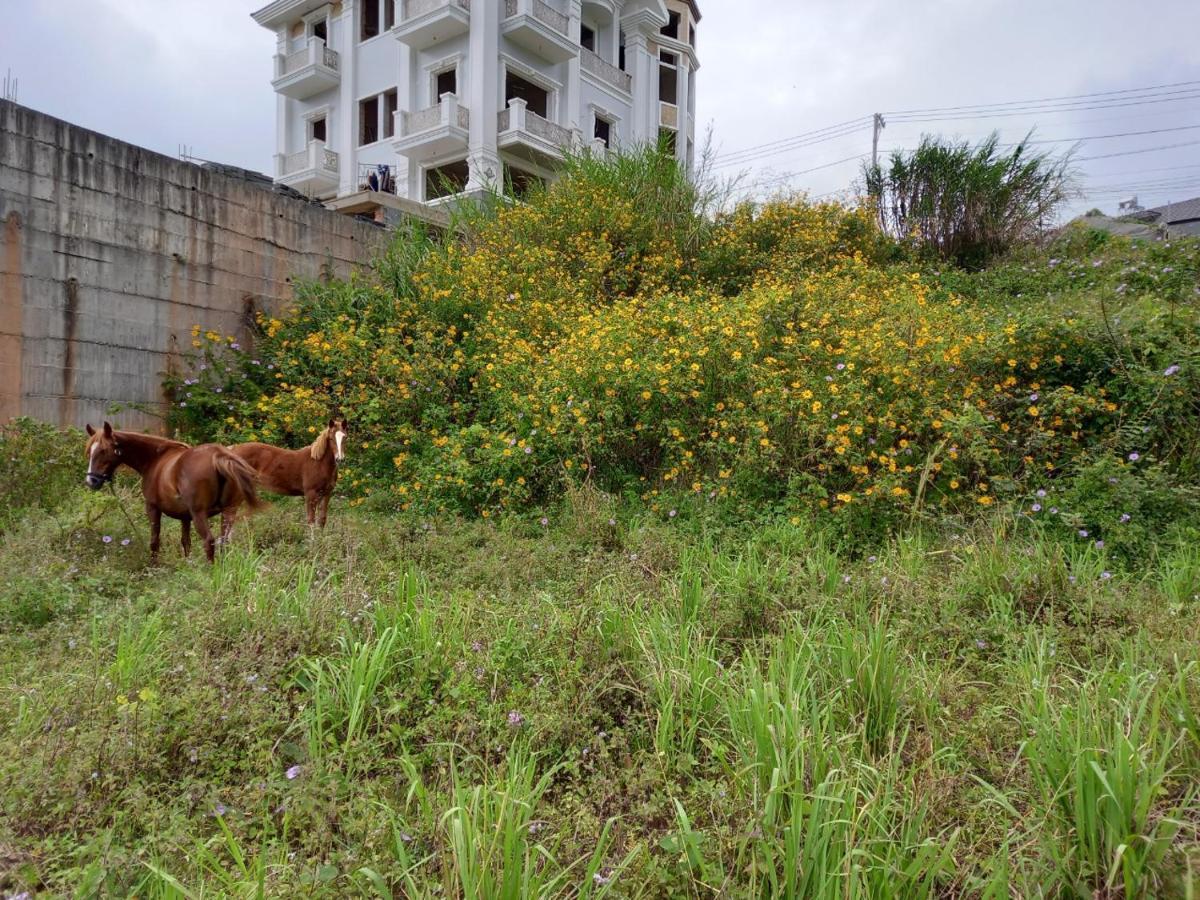 Kp Villa Dalat エクステリア 写真